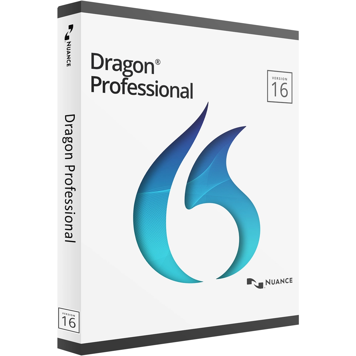 Dragon Professional barrierefrei